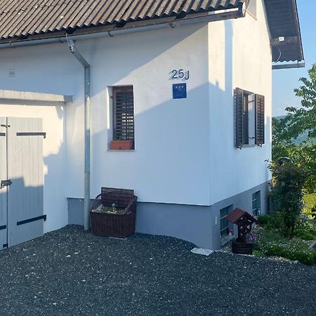 Villa Marijana ヴァラズディンスケ・トプリツェ エクステリア 写真