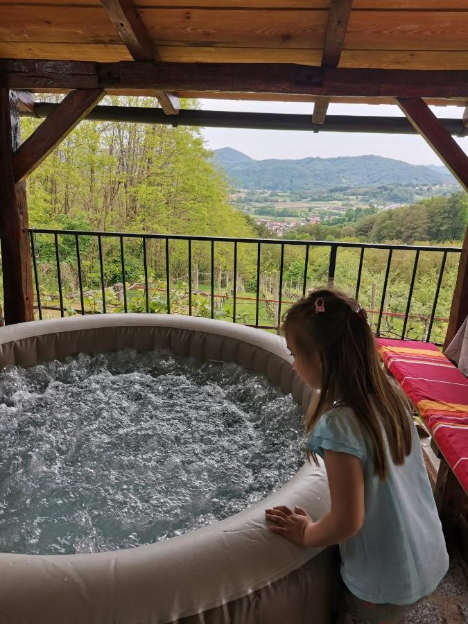 Villa Marijana ヴァラズディンスケ・トプリツェ エクステリア 写真
