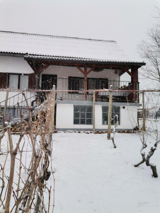 Villa Marijana ヴァラズディンスケ・トプリツェ エクステリア 写真