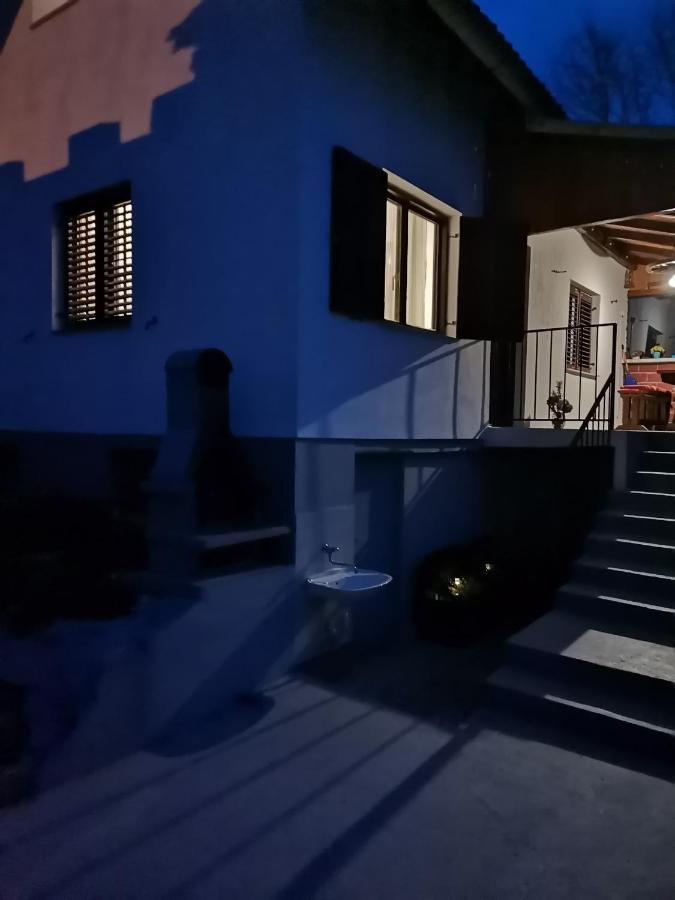 Villa Marijana ヴァラズディンスケ・トプリツェ エクステリア 写真