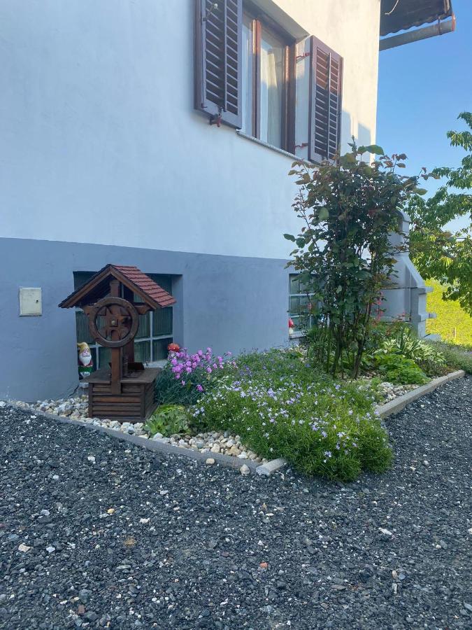 Villa Marijana ヴァラズディンスケ・トプリツェ エクステリア 写真