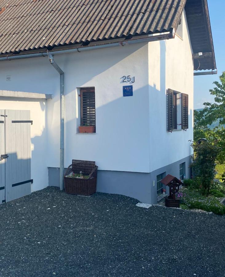 Villa Marijana ヴァラズディンスケ・トプリツェ エクステリア 写真